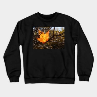 Fallen Maple Leaf Crewneck Sweatshirt